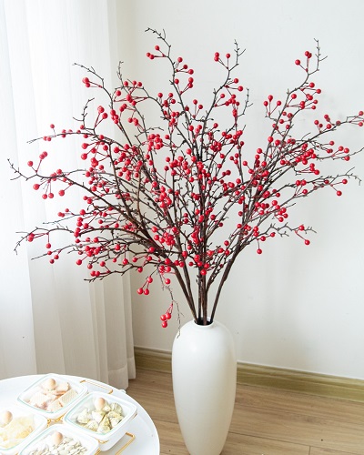 Những hình ảnh đào đông đỏ đẹp nhất Những hình ảnh đào đông đỏ đẹp nhất