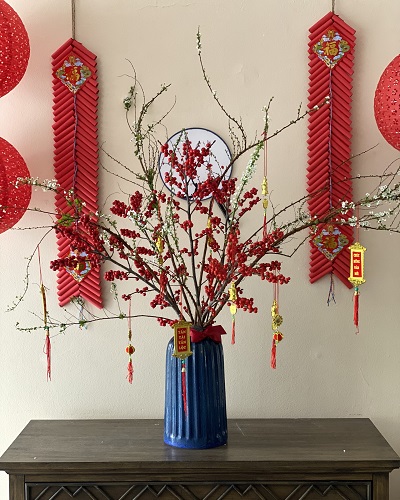 Những hình ảnh đào đông đỏ đẹp nhất Những hình ảnh đào đông đỏ đẹp nhất