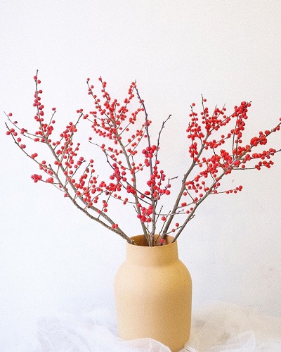 Những hình ảnh đào đông đỏ đẹp nhất Những hình ảnh đào đông đỏ đẹp nhất