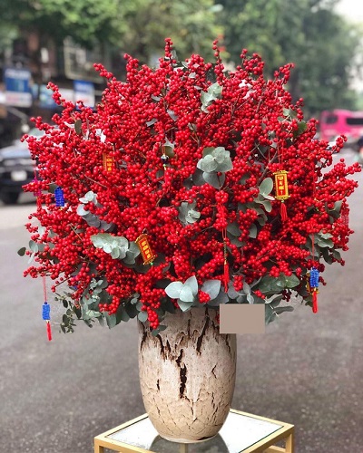 Những hình ảnh đào đông đỏ đẹp nhất Những hình ảnh đào đông đỏ đẹp nhất