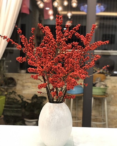 Những hình ảnh đào đông đỏ đẹp nhất Những hình ảnh đào đông đỏ đẹp nhất