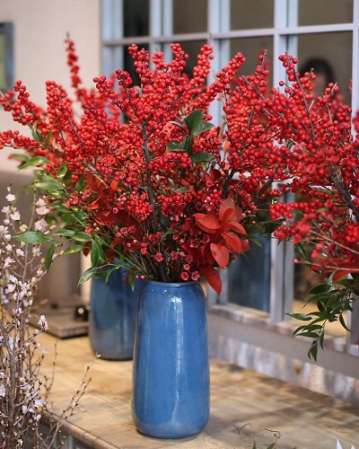 Những hình ảnh đào đông đỏ đẹp nhất Những hình ảnh đào đông đỏ đẹp nhất