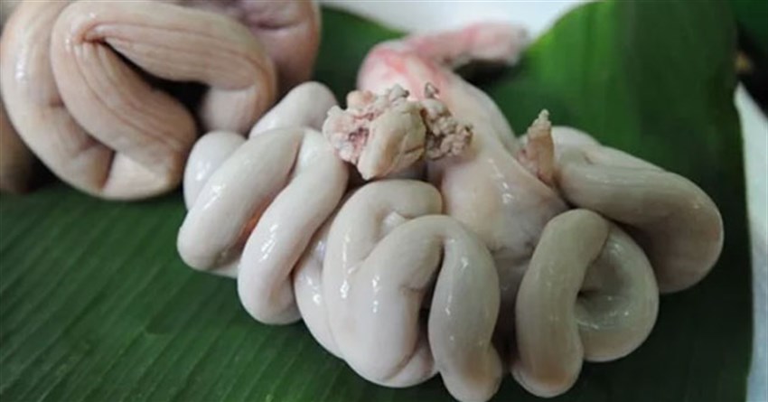Dồi trường là gì, làm món gì ngon? Cách làm sạch dồi trường heo