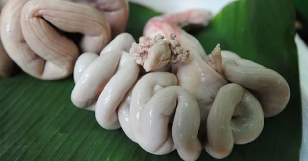 Dồi trường Dồi trường