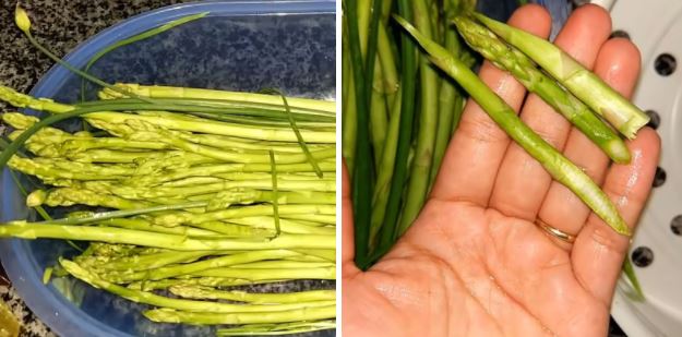 Cách làm măng tây xào thịt bò ngon