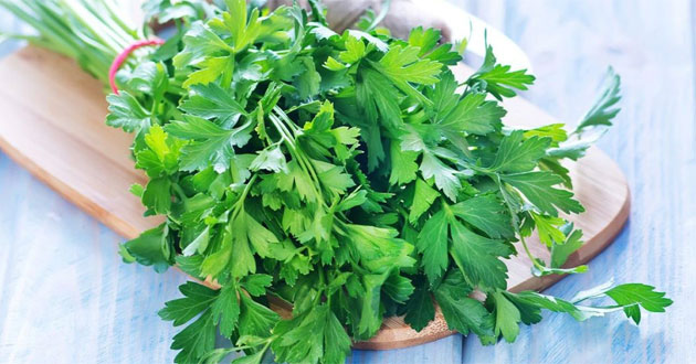 Rau ngò tây