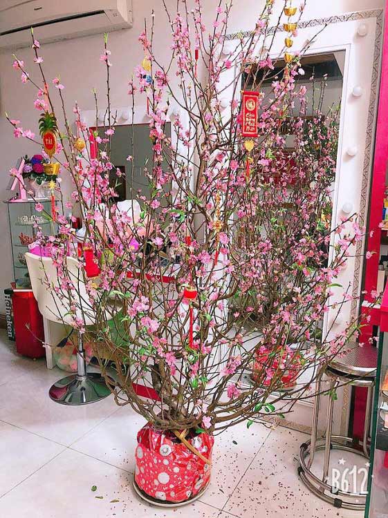 Cách trang trí cây đào đẹp Cách trang trí cây đào đẹp