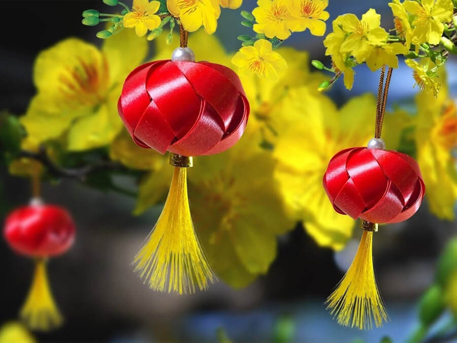 Trang trí cây mai ngày Tết bằng đèn lồng mini Trang trí cây mai ngày Tết bằng đèn lồng mini