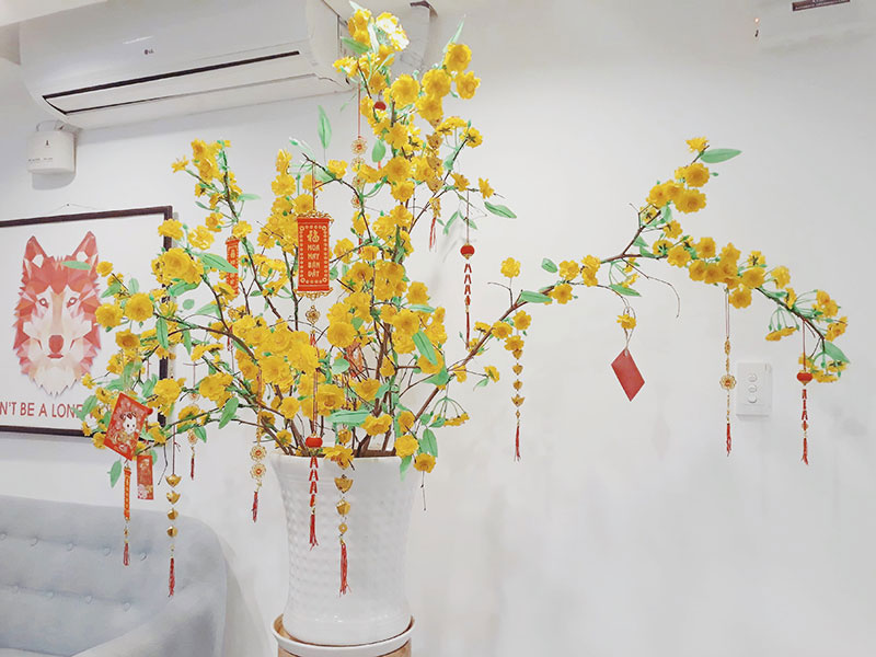 Cách trang trí cây mai ngày Tết đẹp Cách trang trí cây mai ngày Tết đẹp