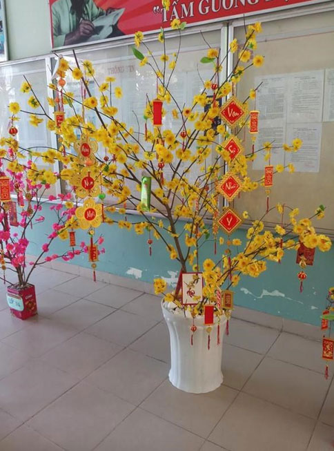 Cách trang trí cây mai ngày Tết đẹp Cách trang trí cây mai ngày Tết đẹp