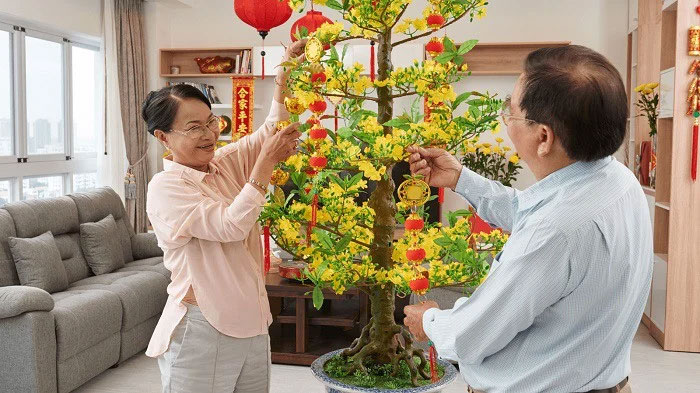 Cách trang trí cây mai ngày Tết đẹp Cách trang trí cây mai ngày Tết đẹp