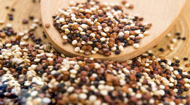 Hạt quinoa Hạt quinoa