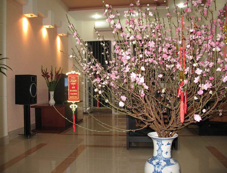 Trang trí nhà cửa ngày Tết đơn giản mà đẹp
