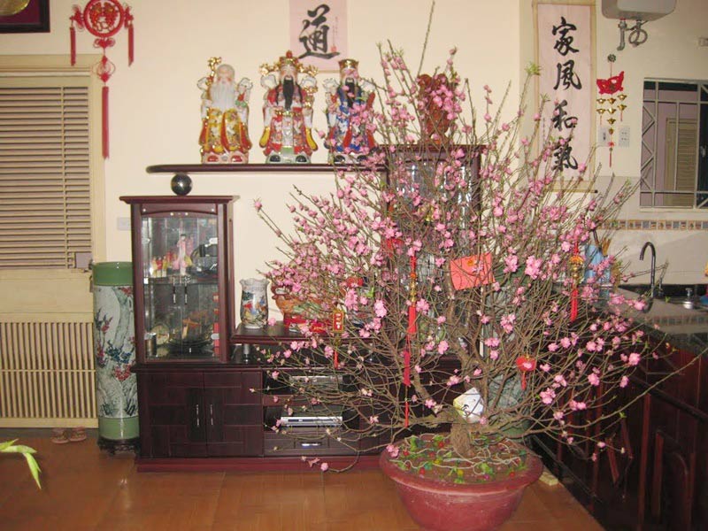 Hình ảnh trang trí nhà ngày Tết
