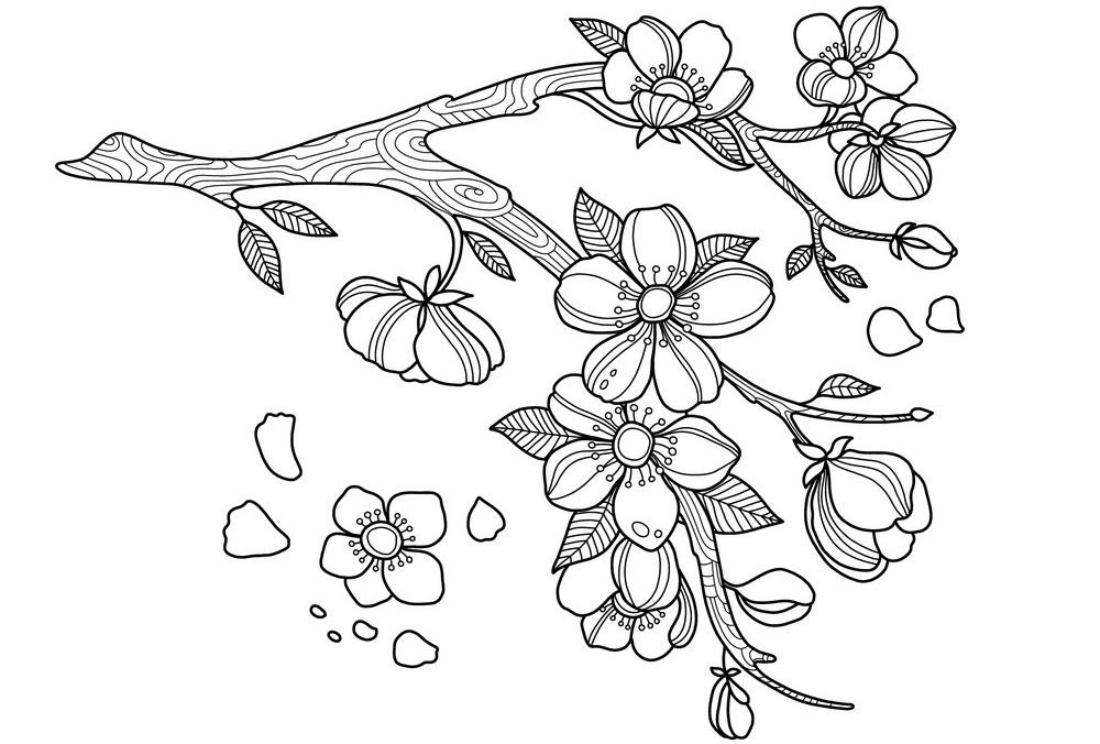 Tranh tô màu ngày Tết cho bé Tranh tô màu sắc hoa ngày Tết cho bé