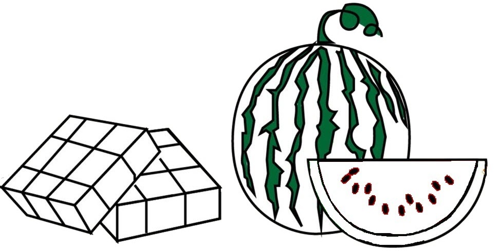 Tranh tô màu bánh chưng, bánh tét ngày Tết đẹp, đơn giản cho bé Tranh tô màu bánh chưng dưa hấu cho bé