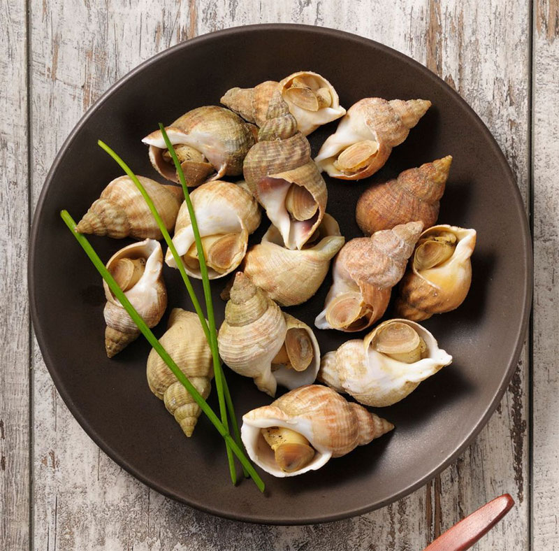 Ốc bulot Pháp Ốc bulot Pháp