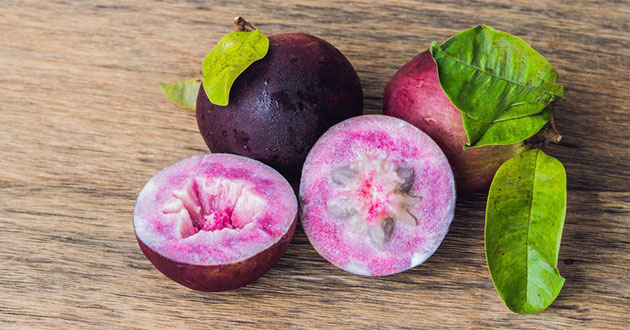 Bà bầu ăn vú sữa được không