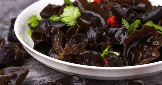 Mộc nhĩ Mộc nhĩ