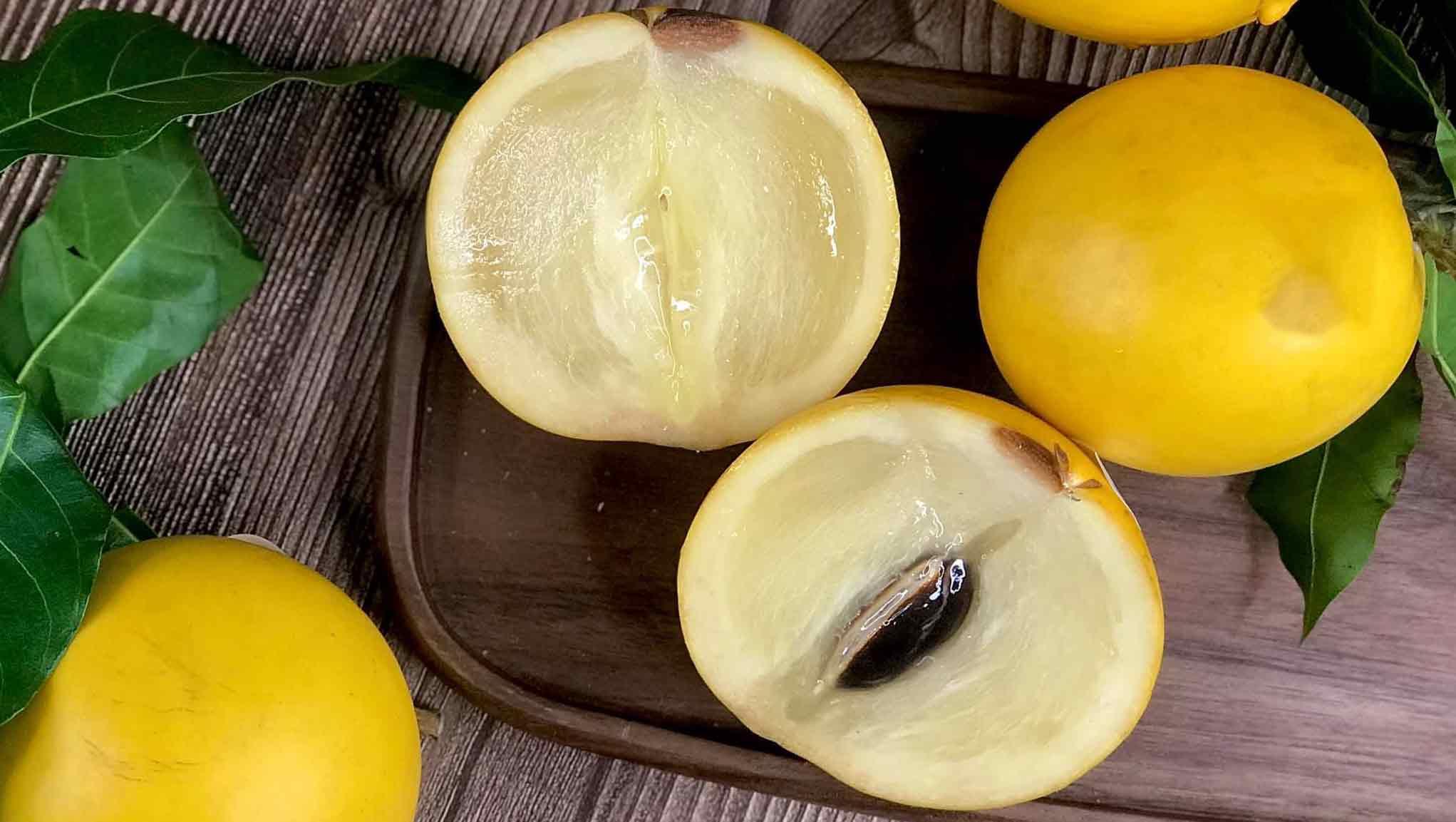 Tác dụng của quả vú sữa hoàng kim