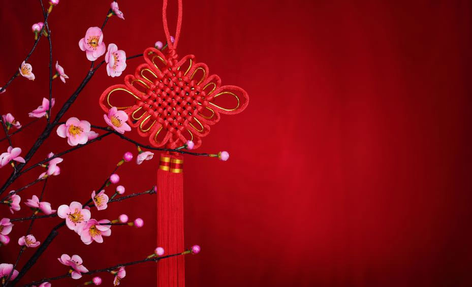 Background hoa đào Tết đẹp