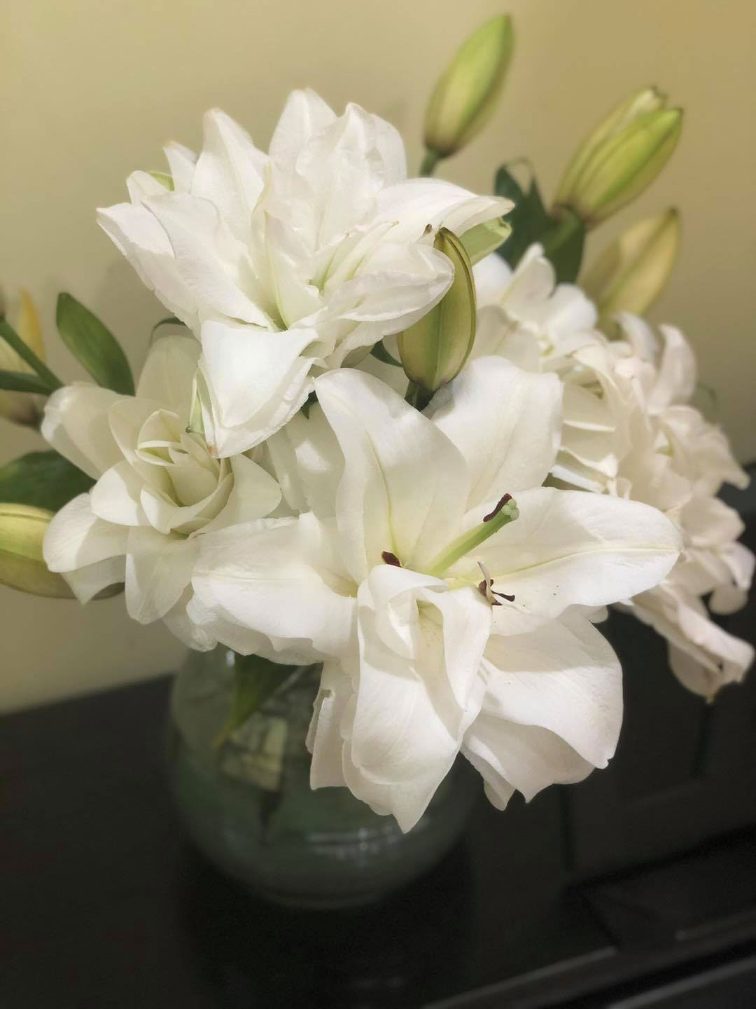 Hình ảnh hoa ly kép trắng