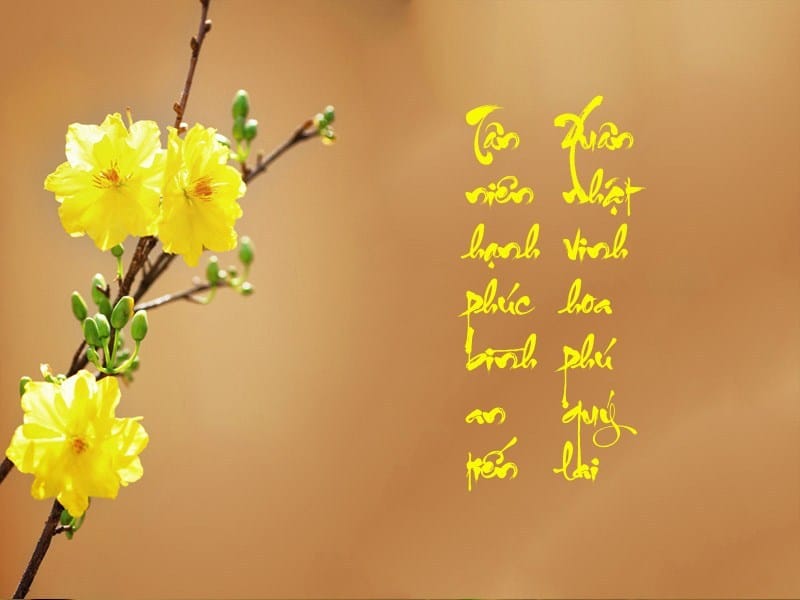 Mẫu chữ thư pháp Tết chúc mừng năm mới xuân Giáp Thìn 2024 đẹp nhất Mẫu chữ thư pháp Tết chúc mừng năm mới xuân Giáp Thìn 2024 đẹp nhất