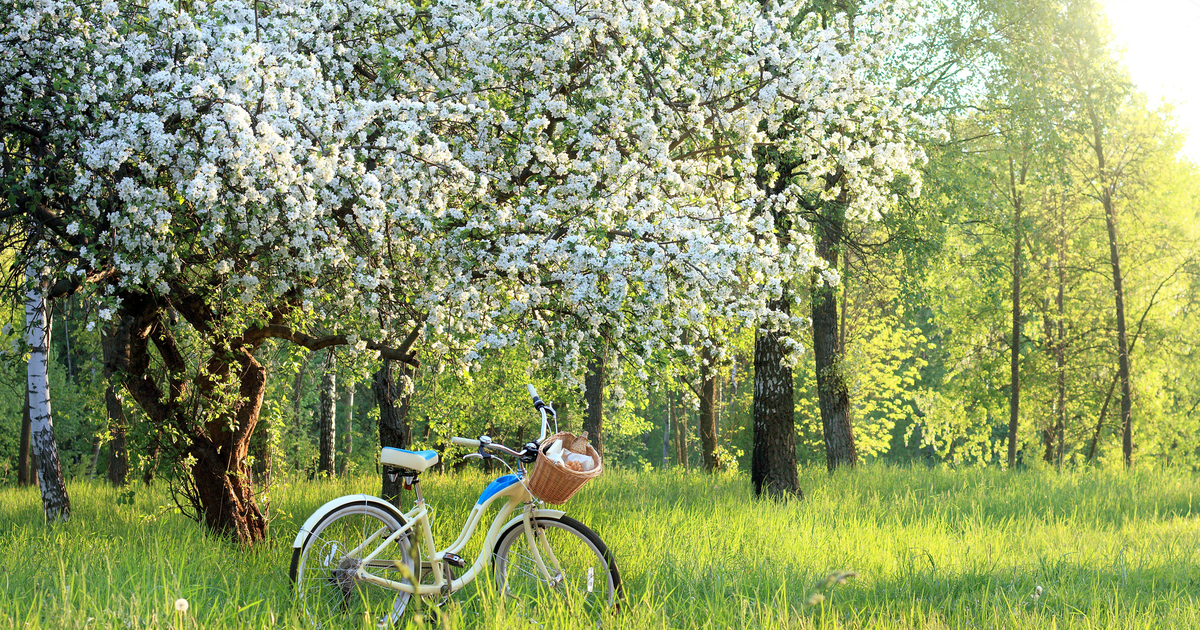 Ngày Lập xuân năm 2022 là ngày nào?