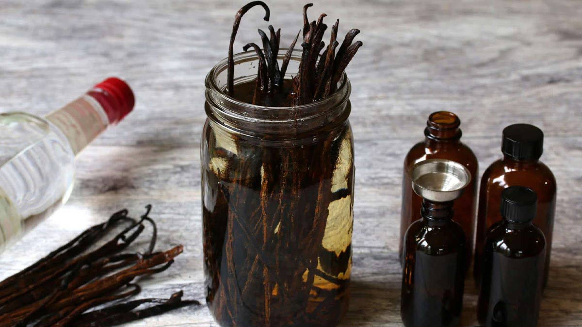 Tìm hiểu về vanilla là gì Tìm hiểu về vanilla là gì