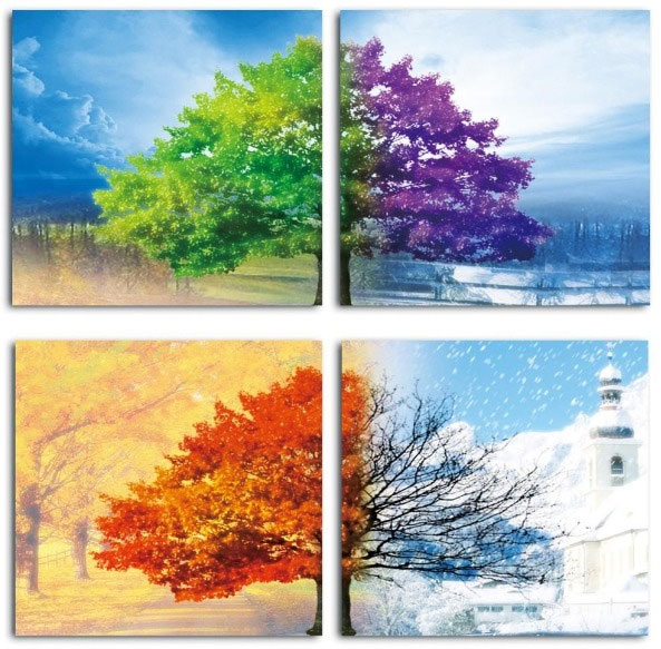 Tranh vẽ 4 mùa Tranh vẽ 4 mùa