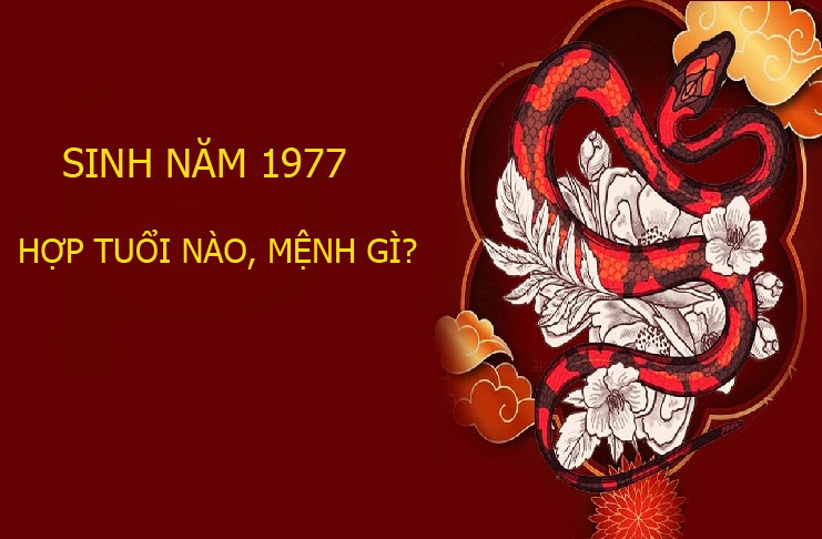 Tuổi 1977
