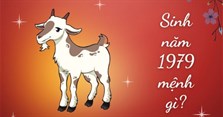 Sinh năm 1979 mệnh gì, tuổi con gì, hợp màu gì, hợp cây gì?