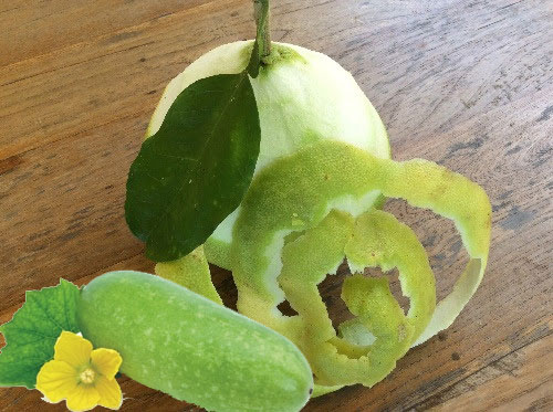 Cách giảm cân bằng vỏ bưởi