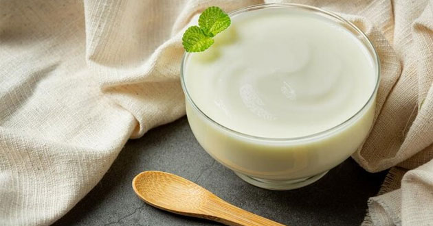 Sữa chua bao nhiêu calo