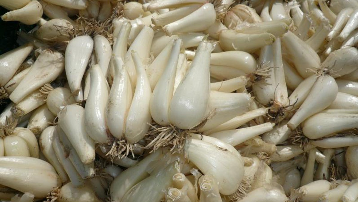 Cách làm dưa kiệu ngâm mắm Cách làm dưa kiệu ngâm mắm