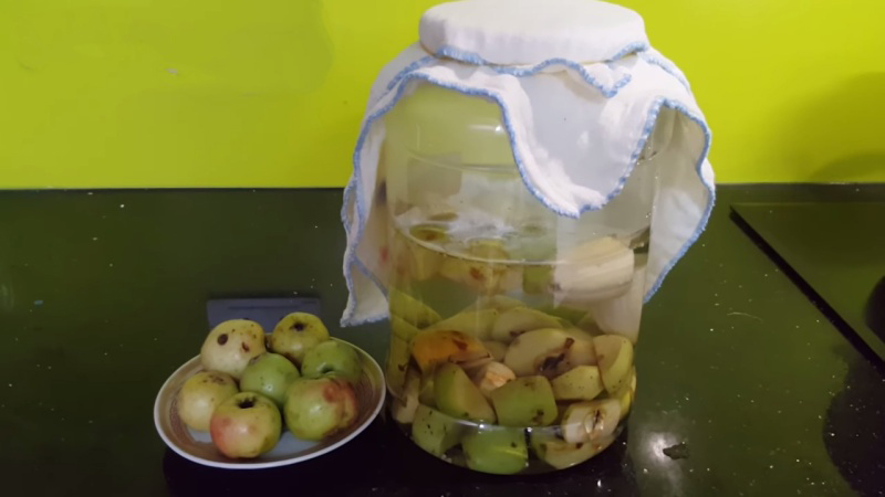 Cách làm giấm táo mèo