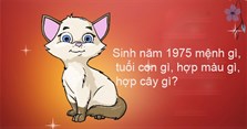 Sinh năm 1975 mệnh gì, tuổi con gì, hợp màu gì, hợp cây gì?