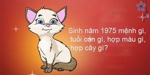 Sinh năm 1975 mệnh gì, tuổi con gì, hợp màu gì, hợp cây gì?