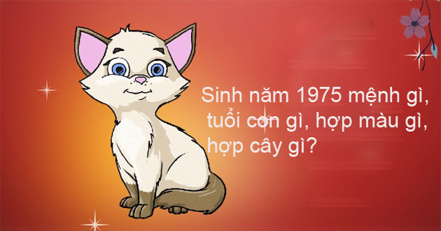 Tuổi 1975