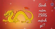 Sinh năm 1976 mệnh gì, tuổi con gì, hợp màu gì, hợp cây gì?