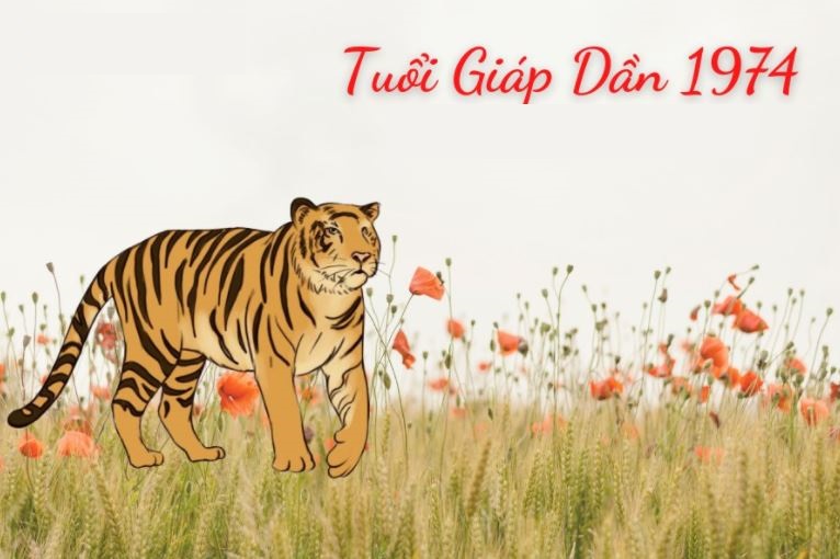 Sinh năm 1974 tuổi gì?