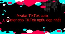 50+ Avatar TikTok cute, avatar cho TikTok ngầu đẹp nhất