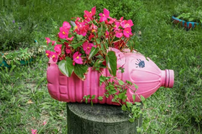 Cách làm chậu hoa bằng can nhựa to