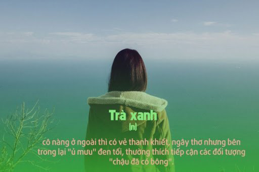 Stt trà xanh cực chất Stt trà xanh cực chất
