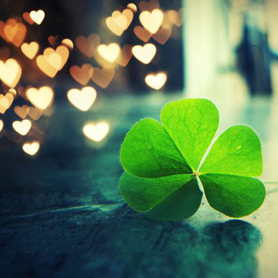 Avatar cỏ 4 lá đẹp 2 Avatar cỏ 4 lá đẹp 2