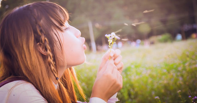 Lời bài hát tuổi mộng mơ Lời bài hát tuổi mộng mơ