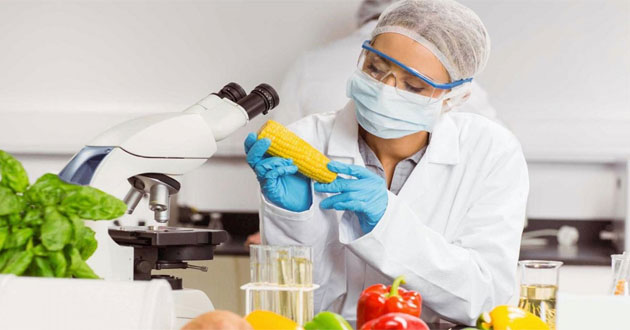 Công nghệ thực phẩm Công nghệ thực phẩm