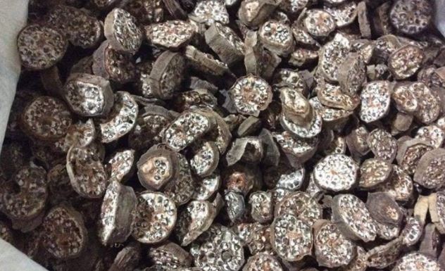 Cách ngâm rượu chuối hột tại nhà