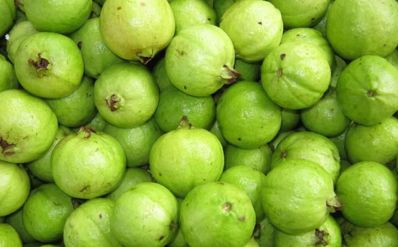 Cách ngâm rượu ổi găng