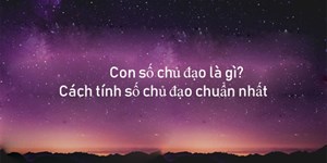 Con số chủ đạo là gì? Cách tính số chủ đạo chuẩn nhất